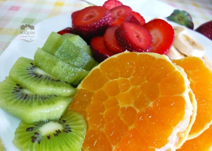 Rural Suquin 3* Navia