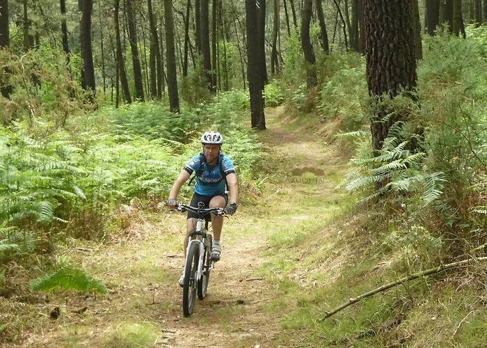 Rural Suquin Hotel 3*